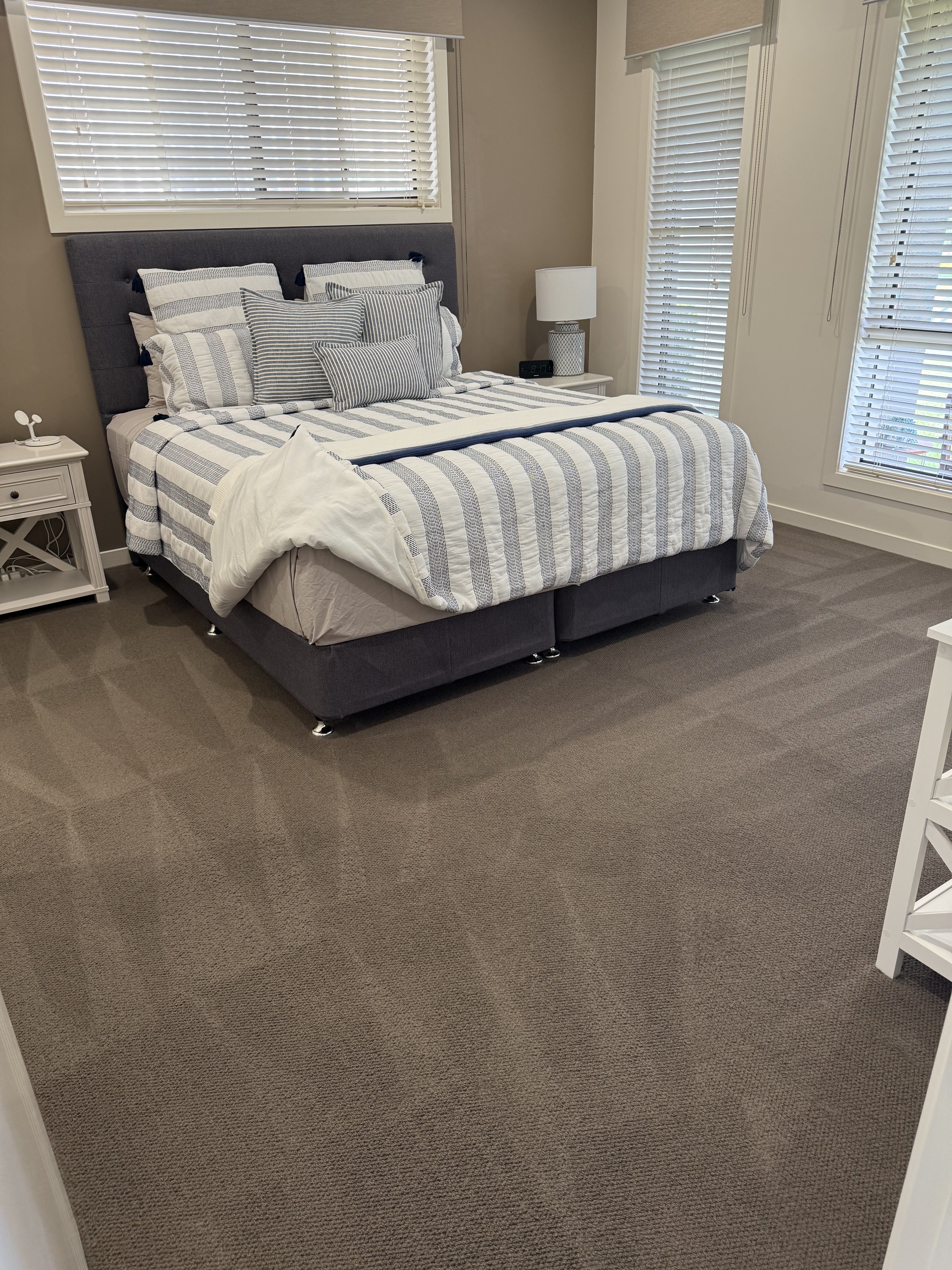 Professional cleaning service